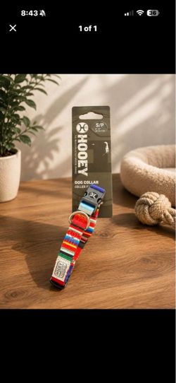 Hooey Dog Collar Small Multicolor Stripe
