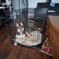 Large Dog Crate