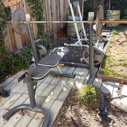 Bench And Olympic Weights