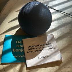Echo Dot 