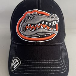 Florida Gators Hat Top Of The World Memory Fit Cap One Size Black  