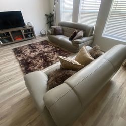 Living Room Couches 