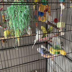 cage