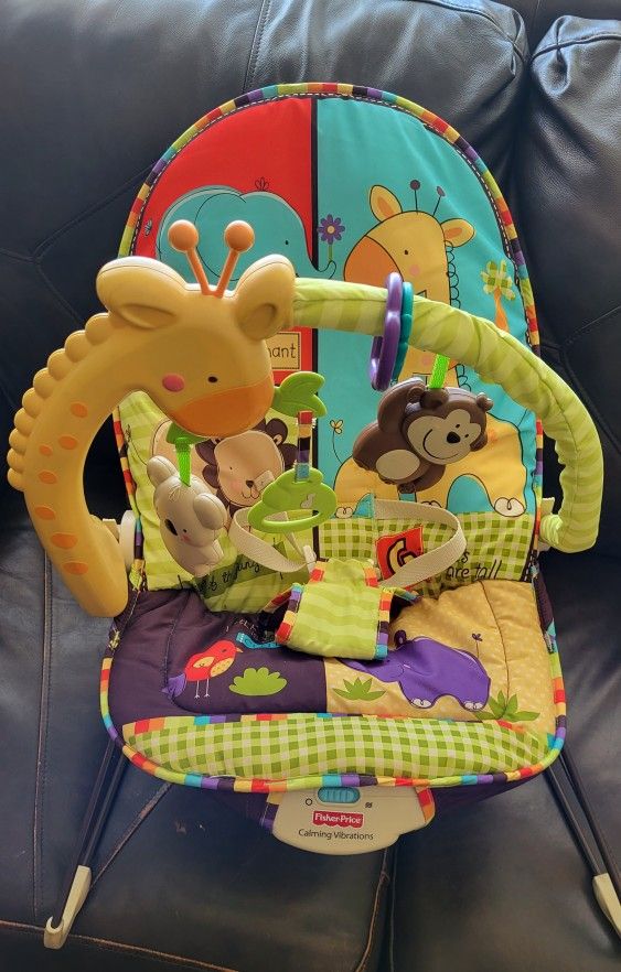 Fisher Price Baby Bouncer