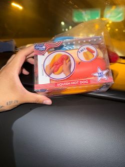 Hot dog squishy
