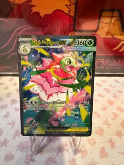 Pokemon Ascended Heroes