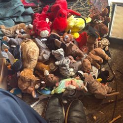 Beanie Babies 1990 Tags 5$ Each All 65 $180