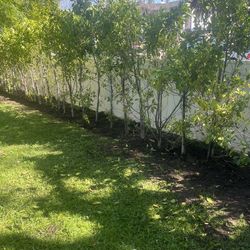 Ruta De Jardín 17 Propiedades $2125Al Triple