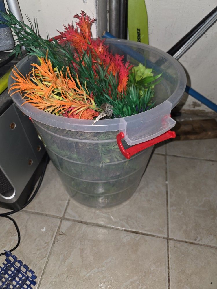 Fish Tank Ornaments And Plants