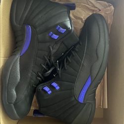 Air Jordan Concord 12s 