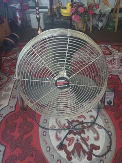 Fan