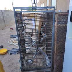 Bird Cage 🐦 