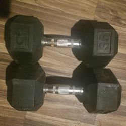 Free Weights And Bench Bar 