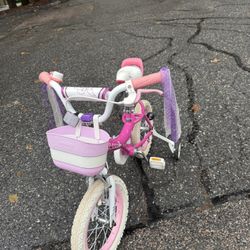 Kids Girl Bike 14 Inch Royalbaby Girls Bike Kids Bicycle with Basket Training Wheels 14 Inch