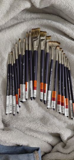 Royal & Langnickel Brushes x19