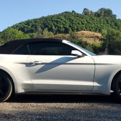 2019 Ford Mustang Ecoboost Premium Convertible  White Black