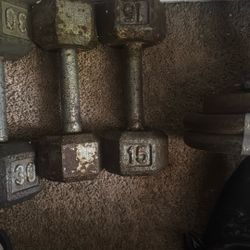 15lb Dumbbells