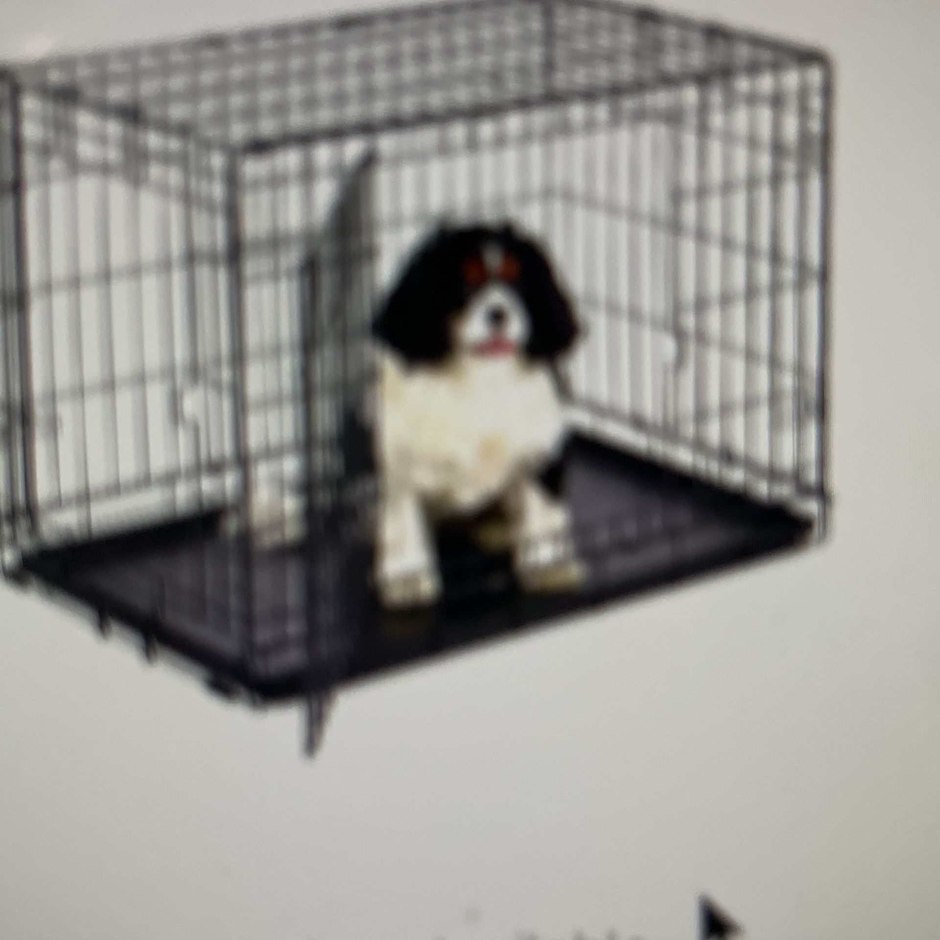 I Crate Home Training System
