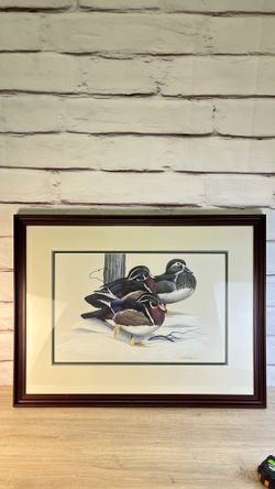 Large Prince Of The Woods Duck Art LaMay