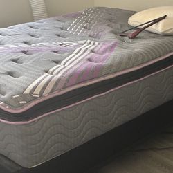 FREE - Queen Sized Mattress + Bed Frame