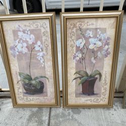 Orchid Picture Frames