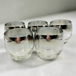 Set of 5 Clear Glass Tumblers with Silver Rim Modern Cocktail Glasses