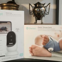 Owlet Sock and Camera