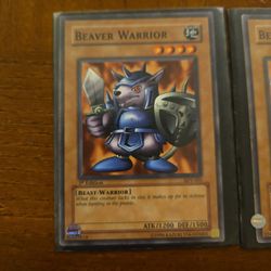 Beaver Warrior - Starter Deck: Yugi (SDY) 1st Edition