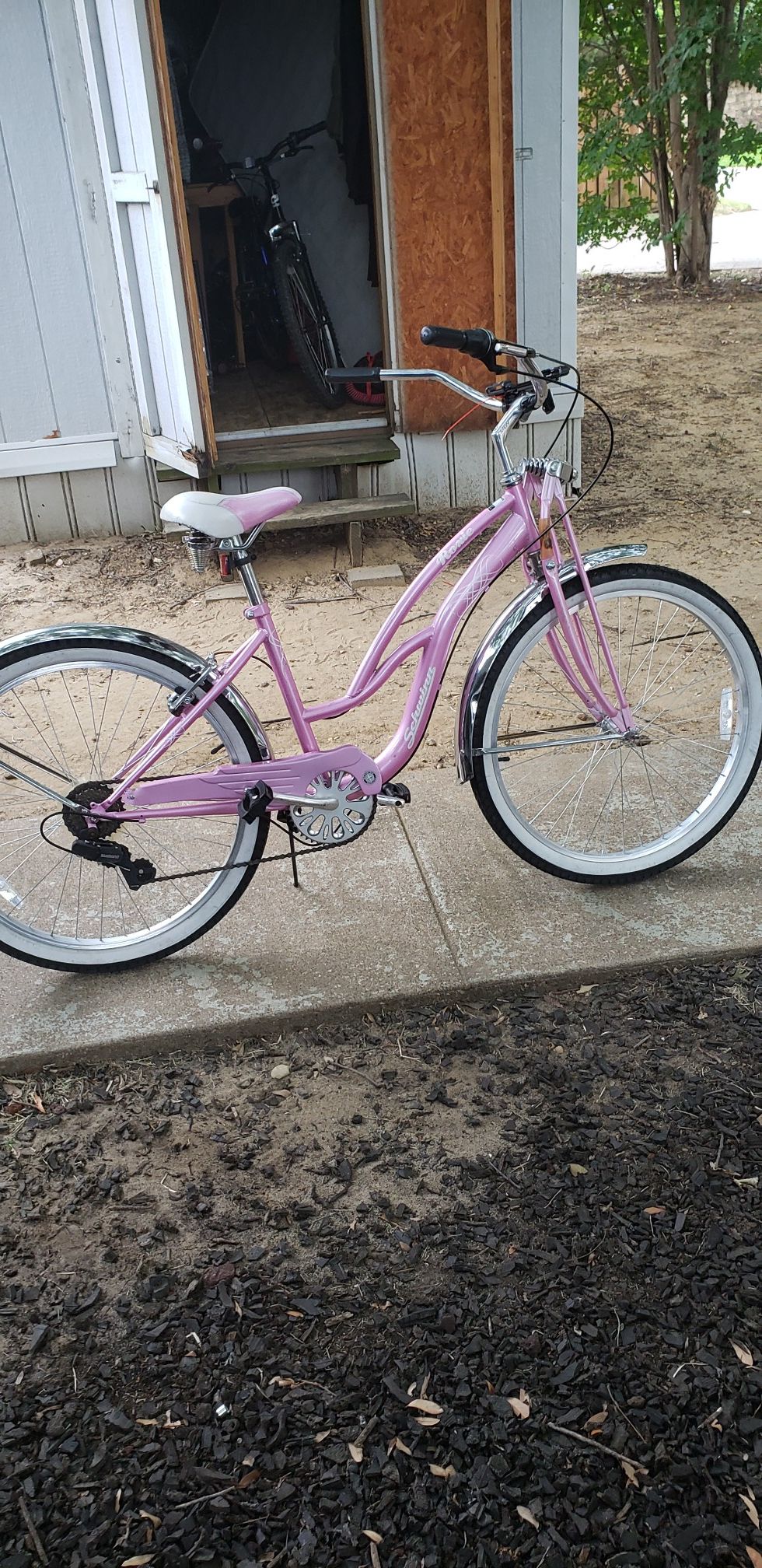 Female pink Schwinn Bike