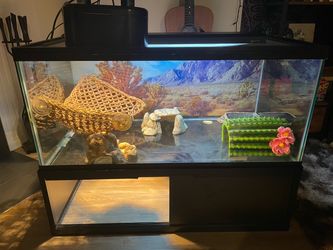 40 Gallon Reptile Terrarium