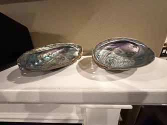 Natural Abalone Shells – Set of 2