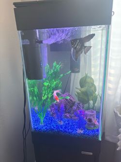 Fish tank