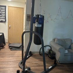 Everlast Punching Bag And Stand With Pro Form Gloves.