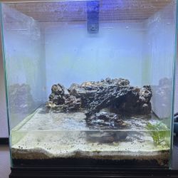 14 Gallon Frameless Aquarium With Hardscape