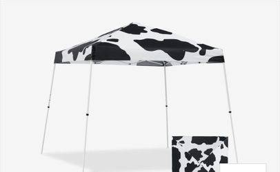 New 10x10 pop up slant leg with printed canopy and carrybag