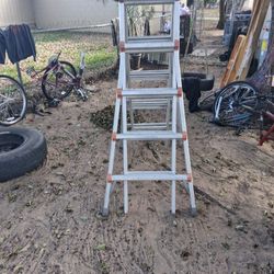 multi-position ladder