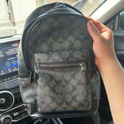 Coach Crossbody Bag 