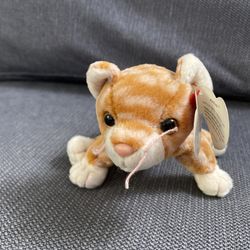 TY Beanie Baby - AMBER the Gold Tabby Cat (7.5 inch) - MWMT's Stuffed Animal Toy
