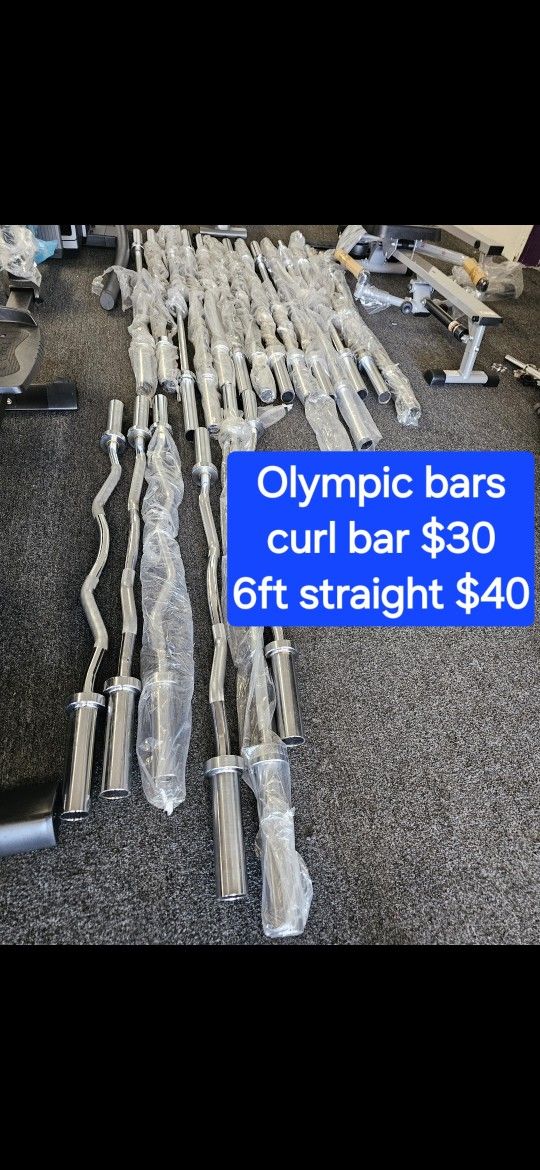 Olympic Curl Bar And Straight Bar 