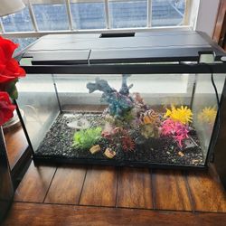 Fish Tank 