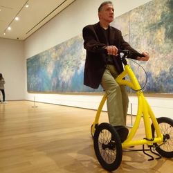 Alinker Mobility Bike 