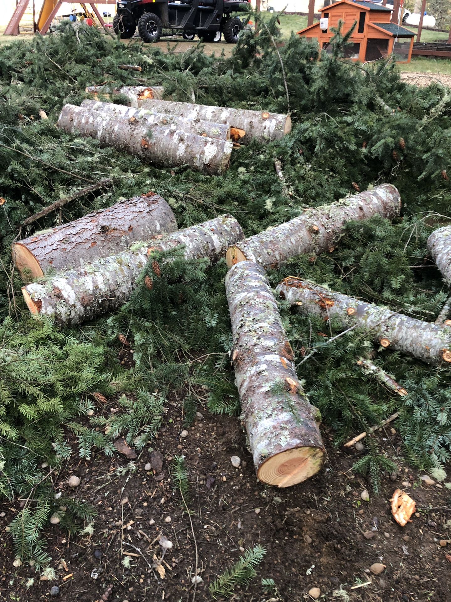 Free firewood 20 cords for Sale in Port Orchard, WA OfferUp