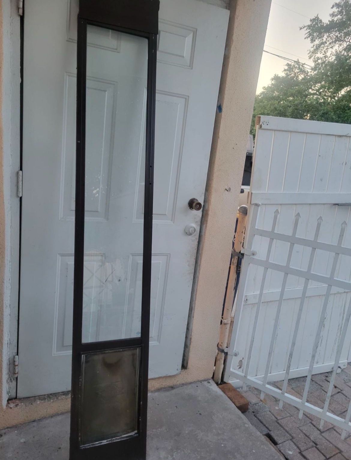 Dog door