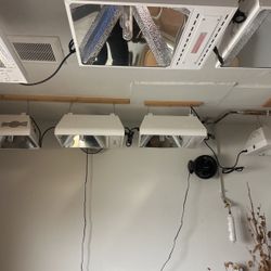 Sun system grow lights