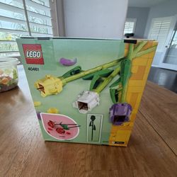 Lego (40461)