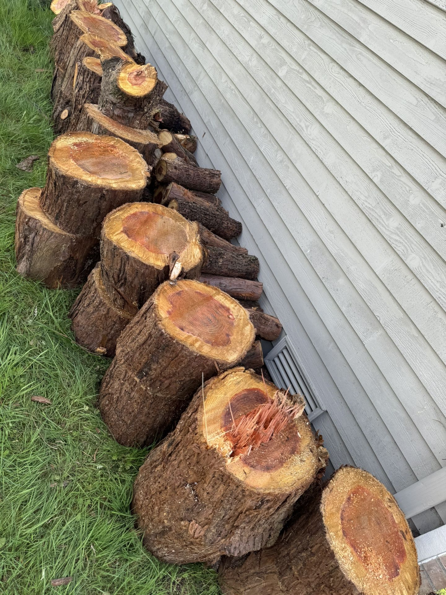 Free firewood