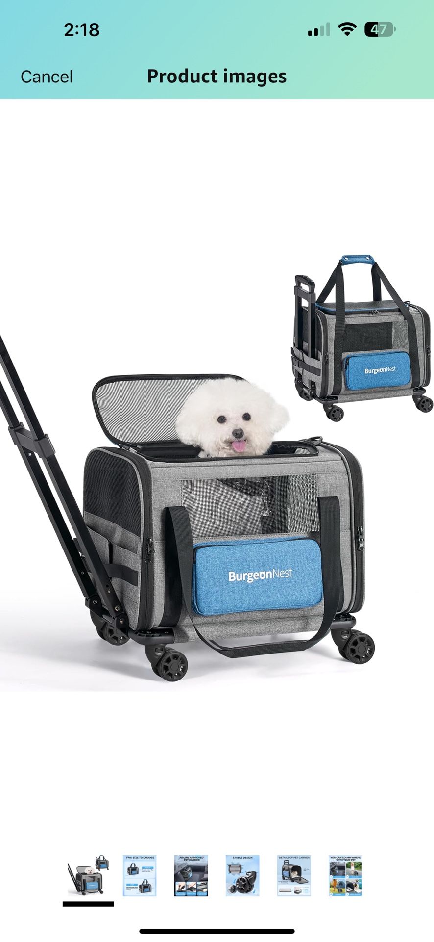 Medium Pet Carrier
