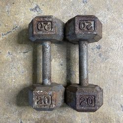 20lbs Dumbbells Weights Set