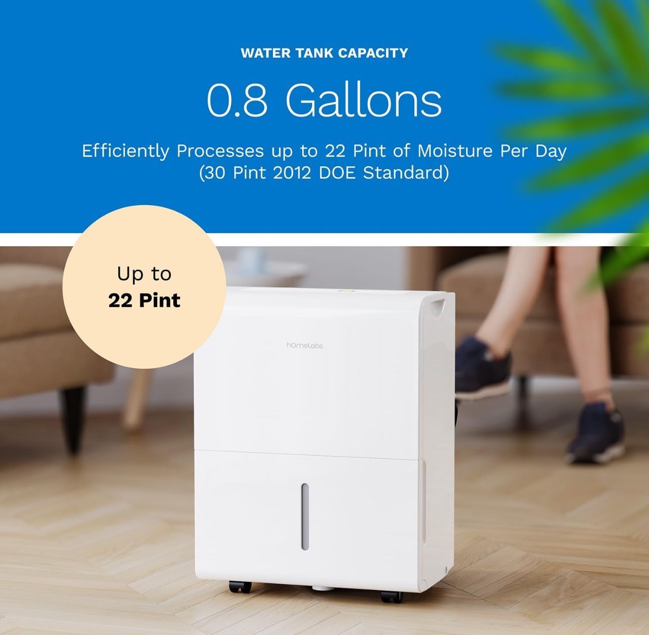 hOmeLabs Energy Star Rated Dehumidifier