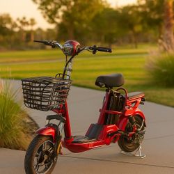 Brand New Fly 2 E-bike